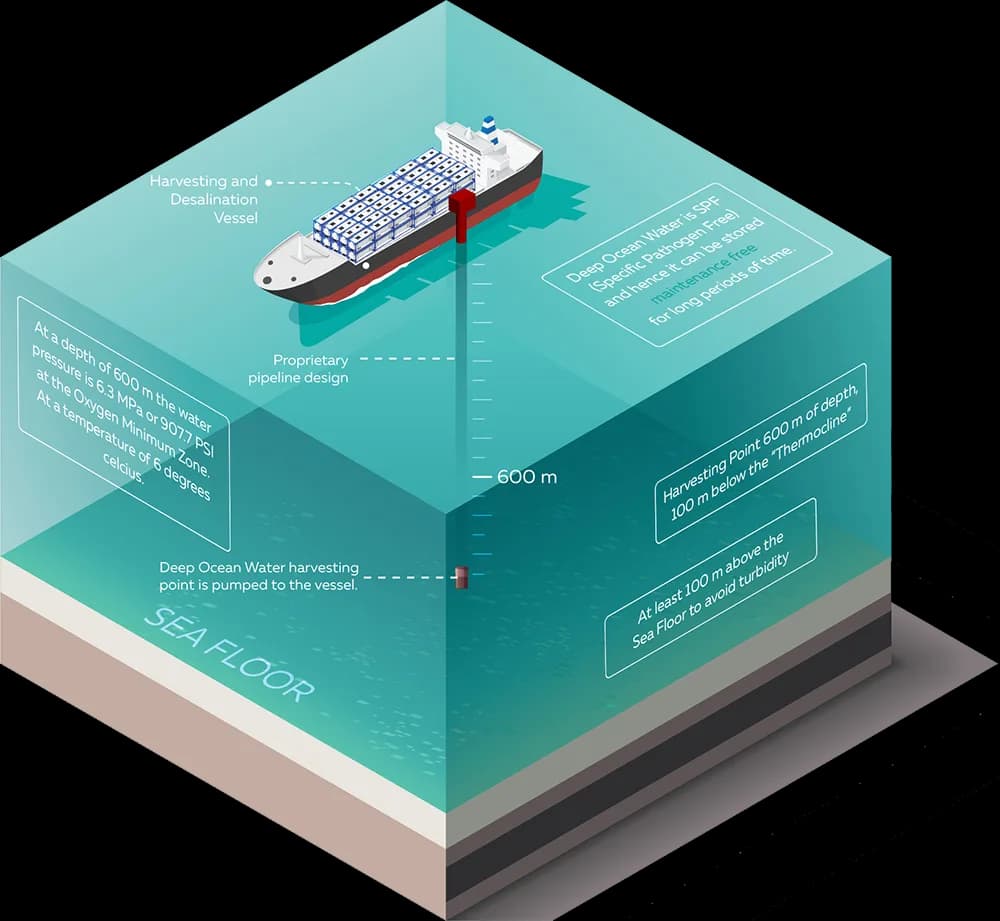 Illustrative diagram of a vessel connected to a deep-water intake